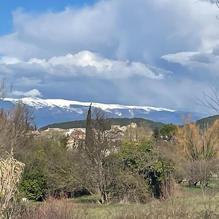 Villa La Petite Rive - Les Oliviers à Velleron Extérieur photo