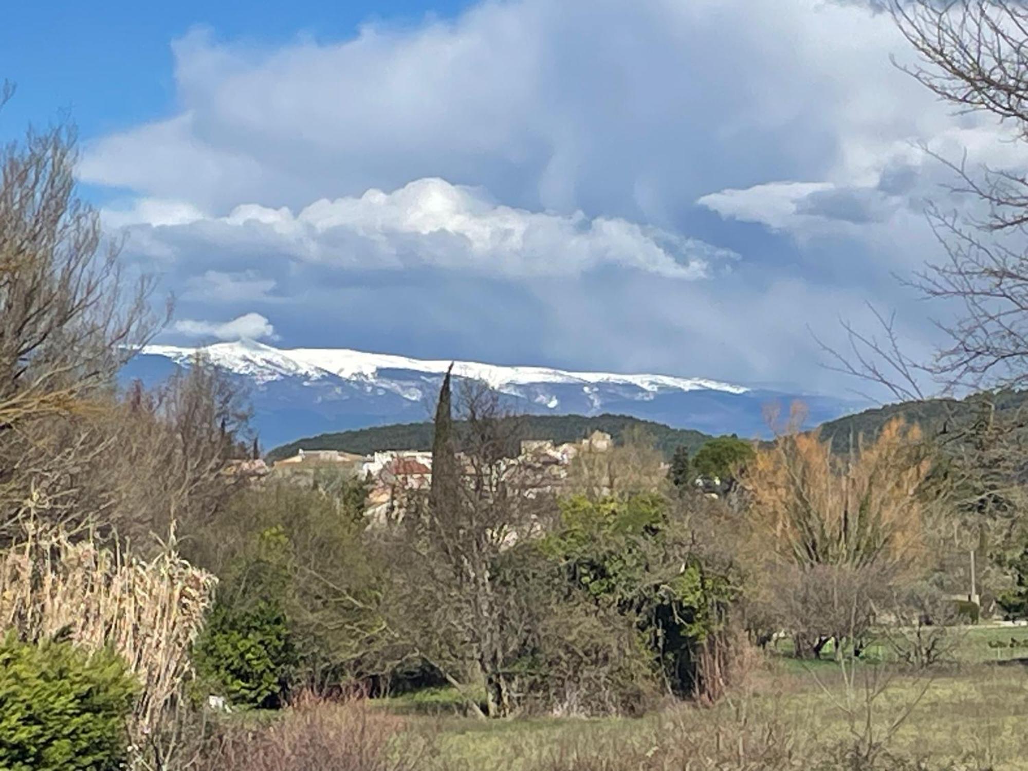 Villa La Petite Rive - Les Oliviers à Velleron Extérieur photo