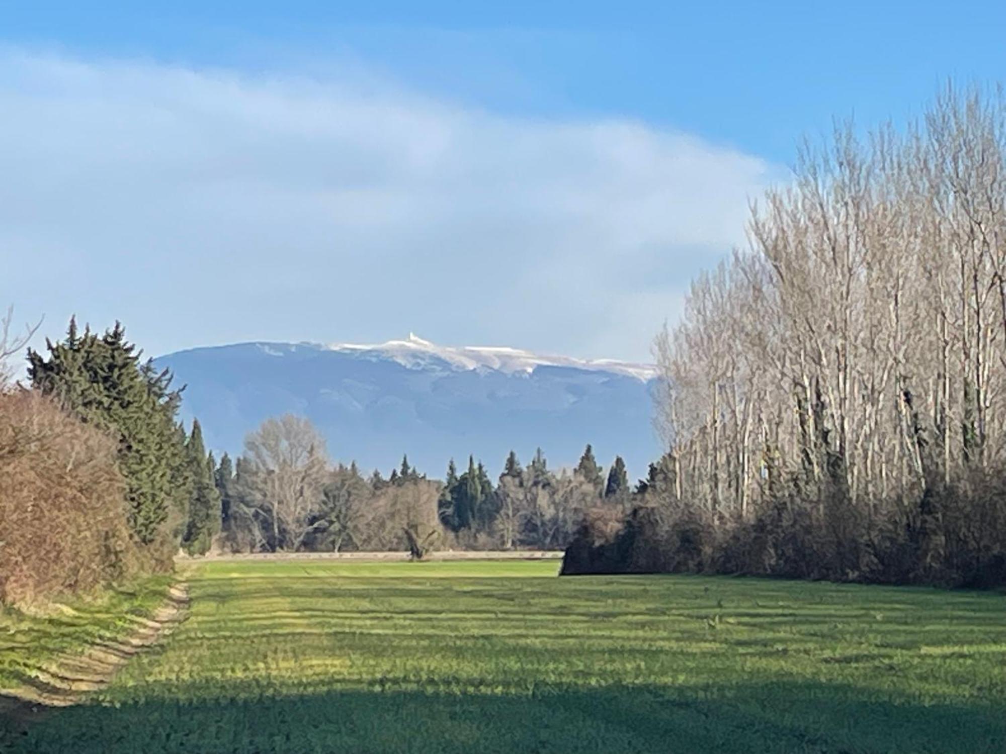 Villa La Petite Rive - Les Oliviers à Velleron Extérieur photo